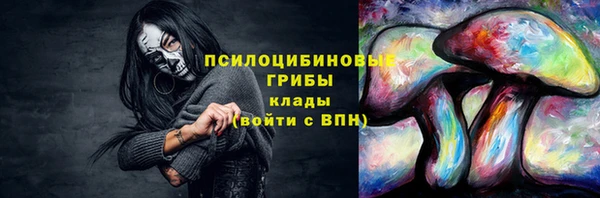 2c-b Абинск