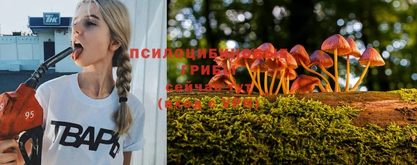 2c-b Абинск
