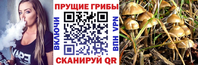 Галлюциногенные грибы ЛСД  Ковров 