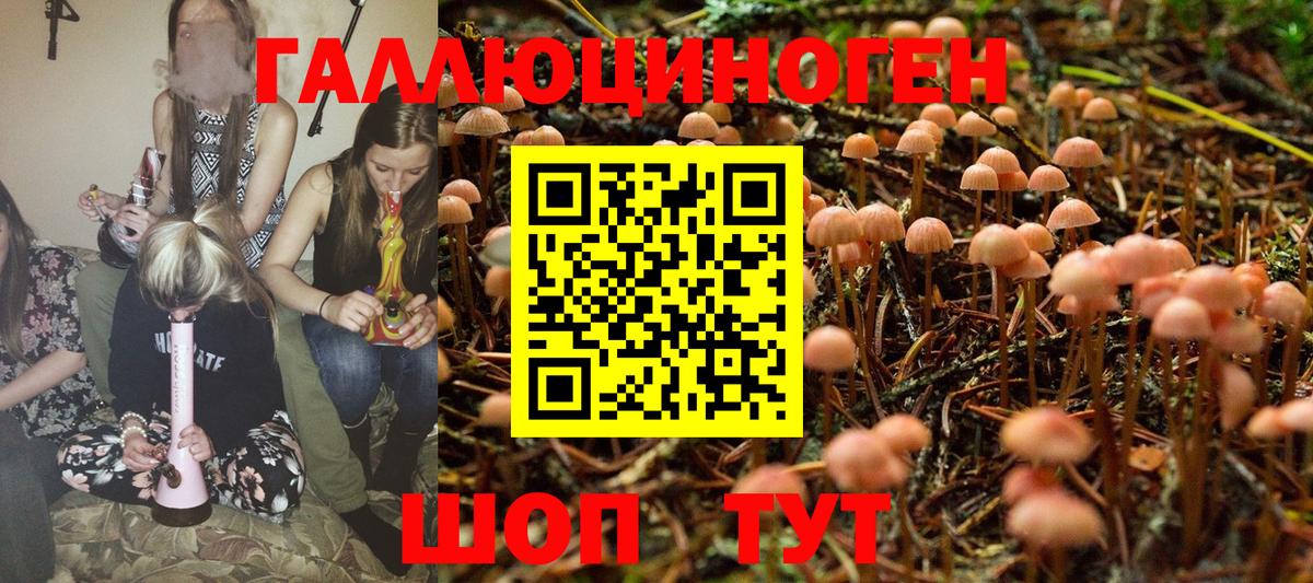 Ковров  Псилоцибиновые грибы ЛСД  Вход с VPN  Псилоцибиновые грибы Cubensis 